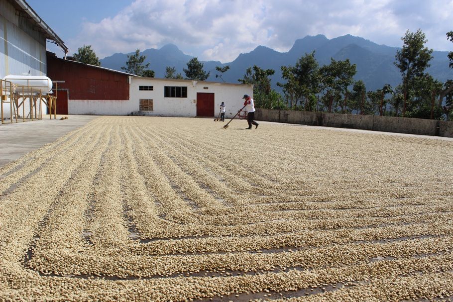 MEXICO FINCA LAS CHICHARRAS